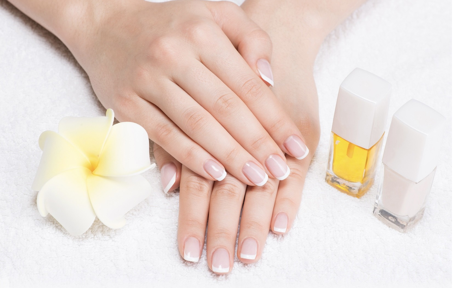 lentor-modern-brand-nails-fifth-avenue