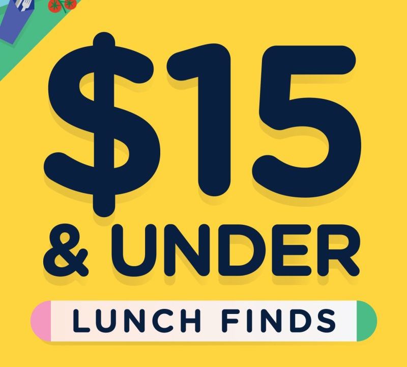 LM Under 15 Meals DS